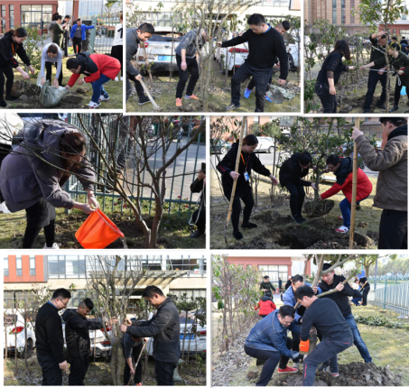 植树节图片1.png